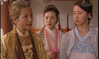 杨门女将之辕门斩子 杨门女将之辕门斩子